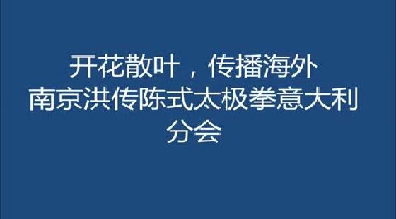 南京洪传陈式太极拳网校